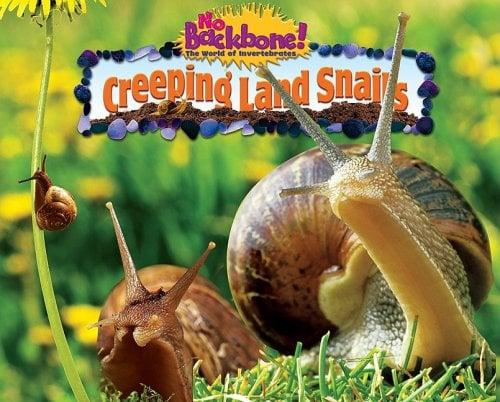 Creeping Land Snails (No Backbone! The World of Invertebrates)