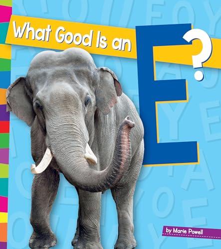 What Good Is an E? (Vowels, Amicus Readers)