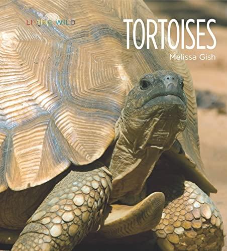 Tortoises (Living Wild)