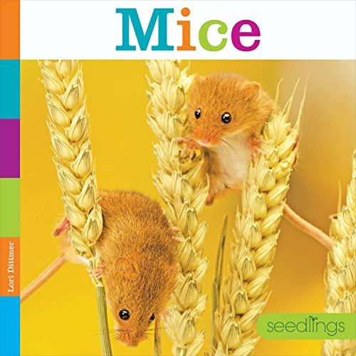 Mice (Seedlings)