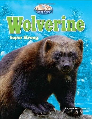 Wolverine: Super Strong (Built for Cold: Arctic Animals)