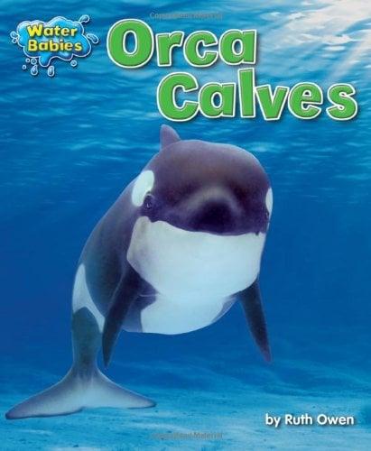 Orca Calves (Water Babies)