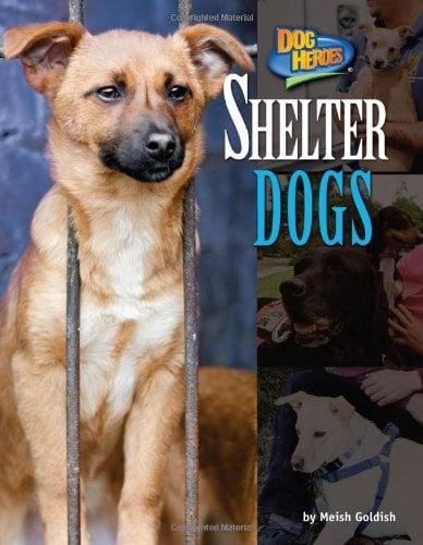 Shelter Dogs (Dog Heroes)