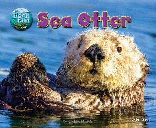 Sea Otter (The Deep End: Animal Life Underwater)