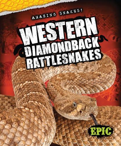 Western Diamondback Rattlesnakes (Epic, Amazing Snakes!)