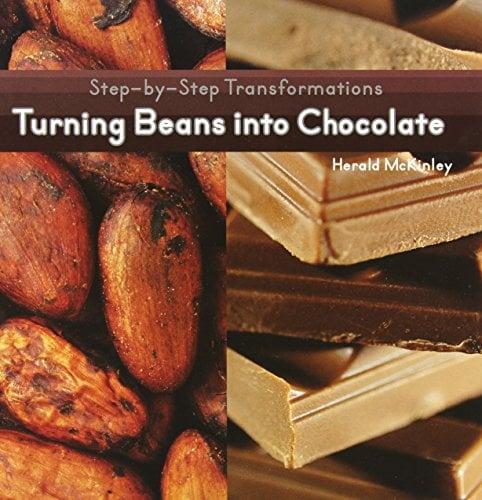 Turning Beans Into Chocolate (Step-By-Step Transformations)