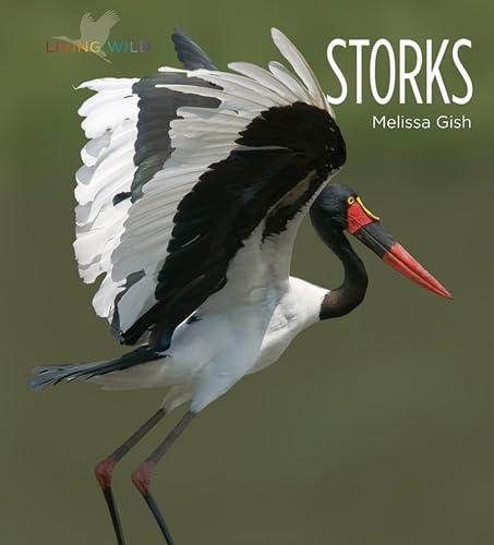 Storks (Living Wild)
