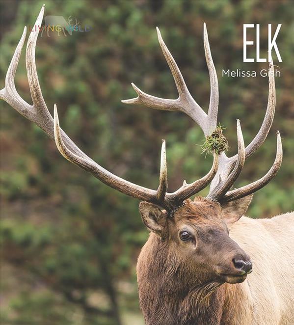 Elk (Living Wild)