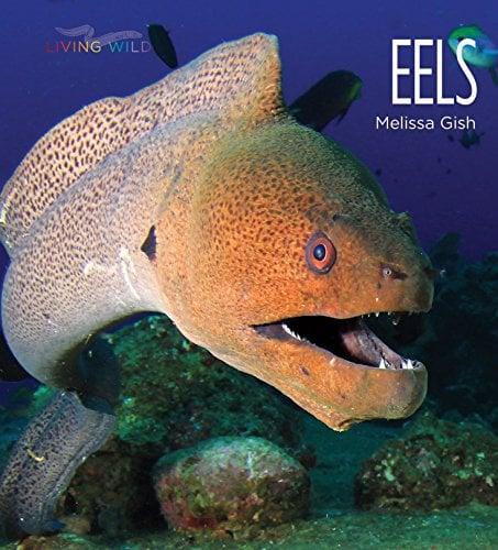 Eels (Living Wild)