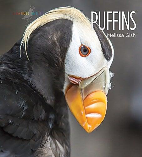 Puffins (Living Wild)