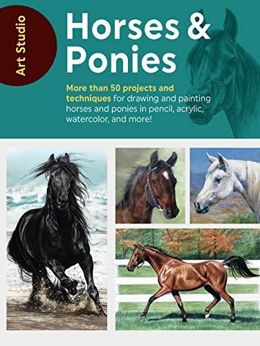 Horses & Ponies (Art Studio)