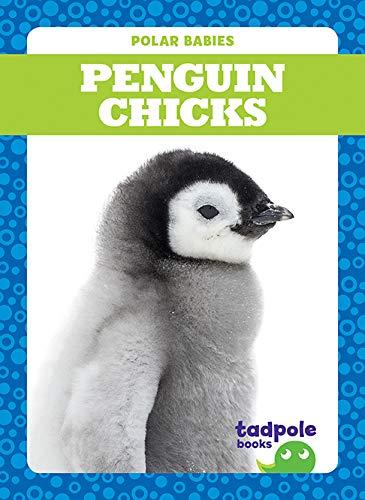 Penguin Chicks (Tadpole Books, Polar Babies)