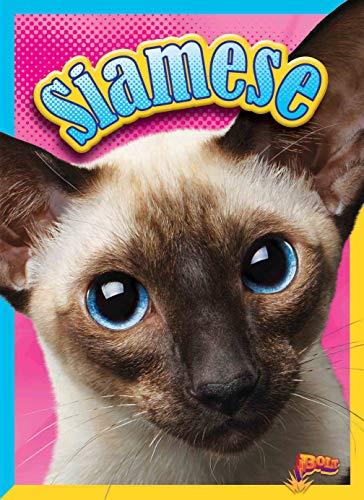 Siamese (Cat Stats)