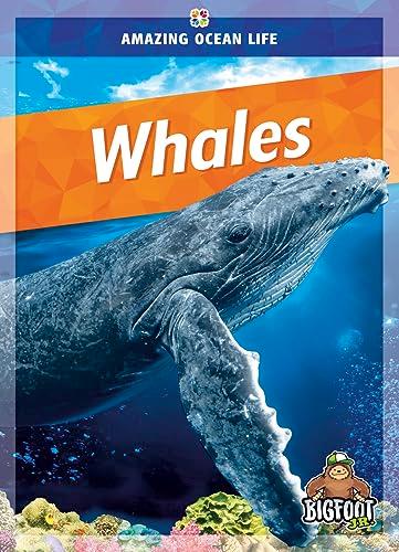 Whales (Amazing Ocean Life)