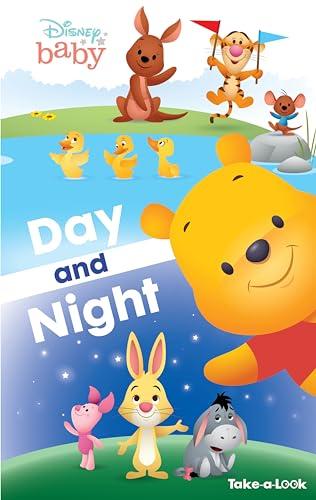 Day and Night Take-a-Look (Disney Baby, Look and Find)