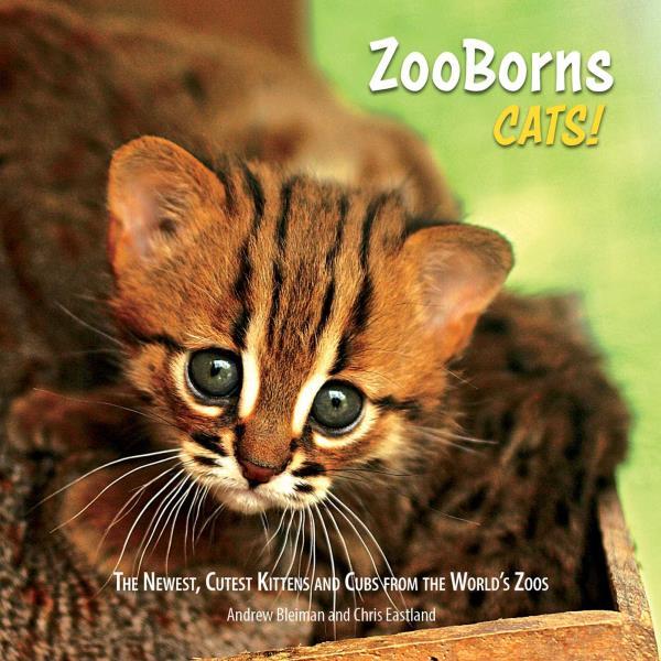Cats! The Newest, Cutest Kittens and Cubs From the World's Zoos (ZooBorns)
