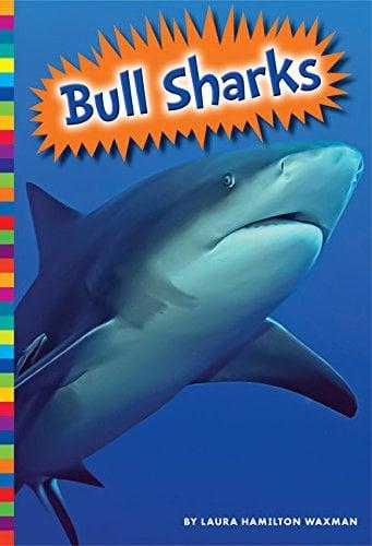 Bull Sharks (Sharks)