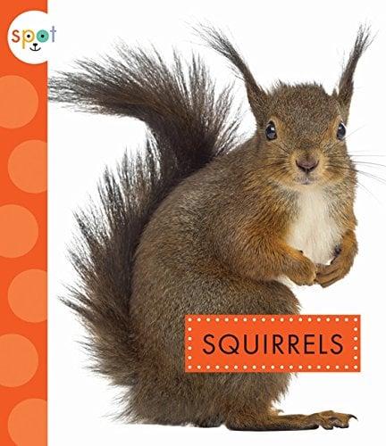 Squirrels (Spot Backyard Animals)