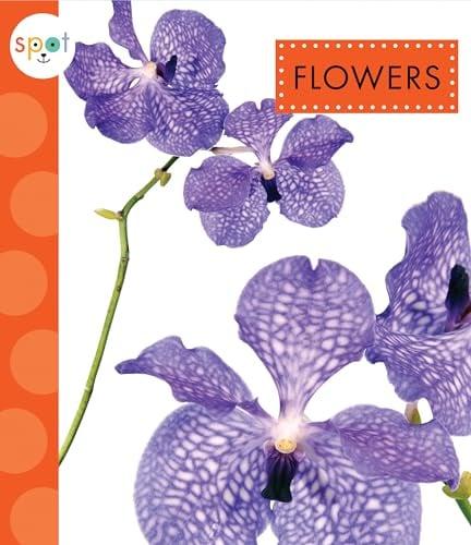 Flowers (Spot Awesome Nature)