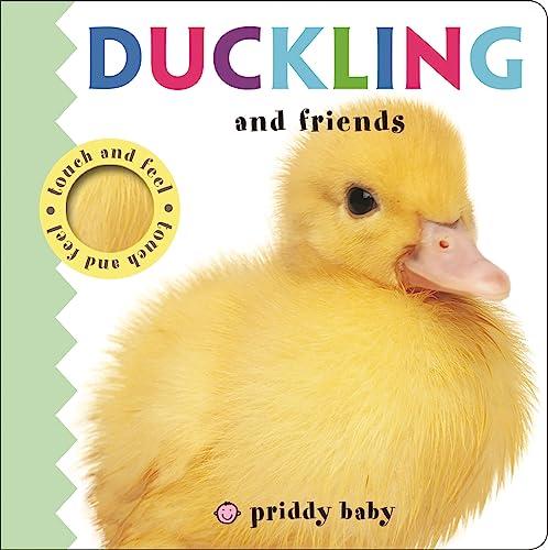 Duckling and Friends Touch and Feel (Priddy Baby)