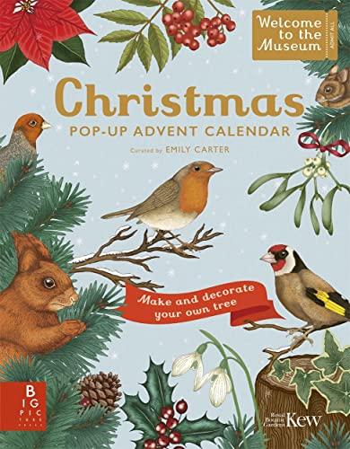 Christmas Pop-Up Advent Calendar (Welcome to the Museum)