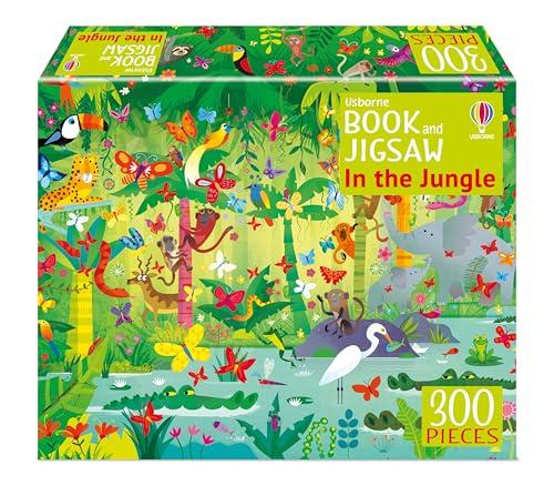 Ballet and Dancing Fairies (Sticker Dolly Dressing) by Usborne Publishing  Ltd