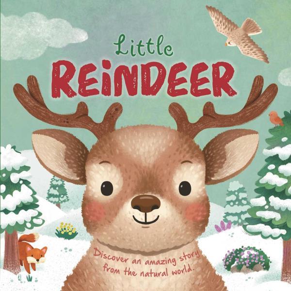Little Reindeer (Nature Stories)