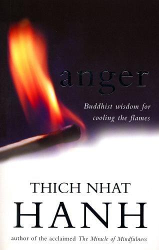 Anger: Buddhist Wisdom for Cooling the Flames