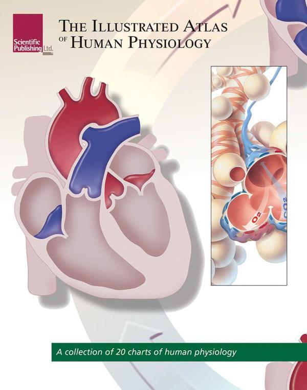 The Illustrated Atlas of Human Physiology (Atlas Series)