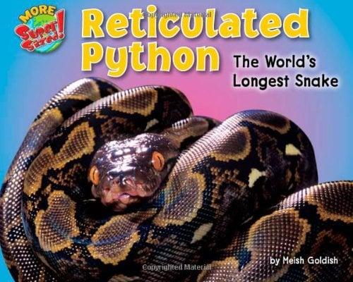 Reticulated Python: The World's Longest Snake (More Supersized!)