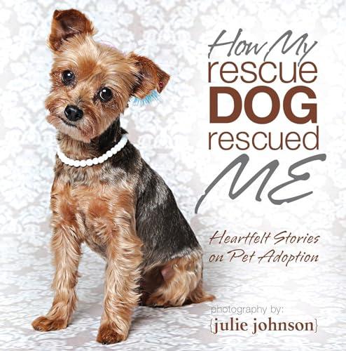 How My Rescue Dog Rescued Me