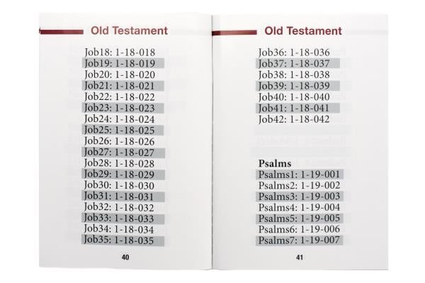 KJV, Wonder Bible Rechargeable Audio Player