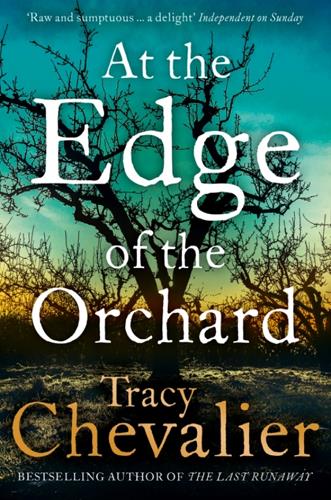 Edge of the Orchard