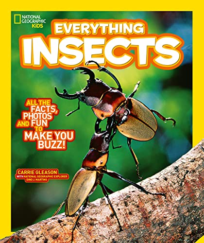 Tout sur les insectes