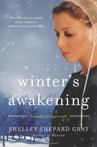 Winter's Awakening (Seasons of Sugarcreek, Book One)
