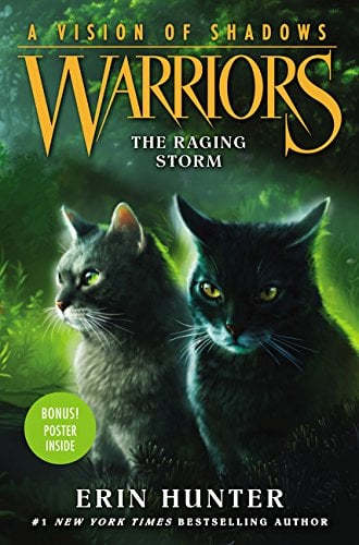 L'Orage qui fait rage (La Vision des ombres : Guerriers, Tome 6)