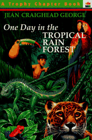 One Day In The Tropical Rain Forest
