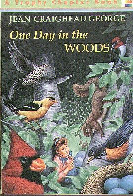One Day In The Woods