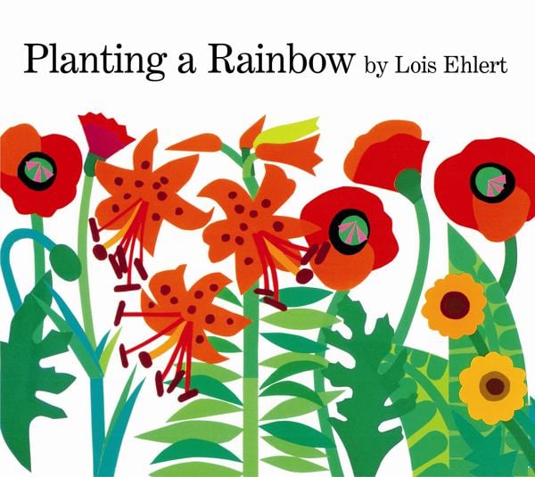 Planter un arc-en-ciel