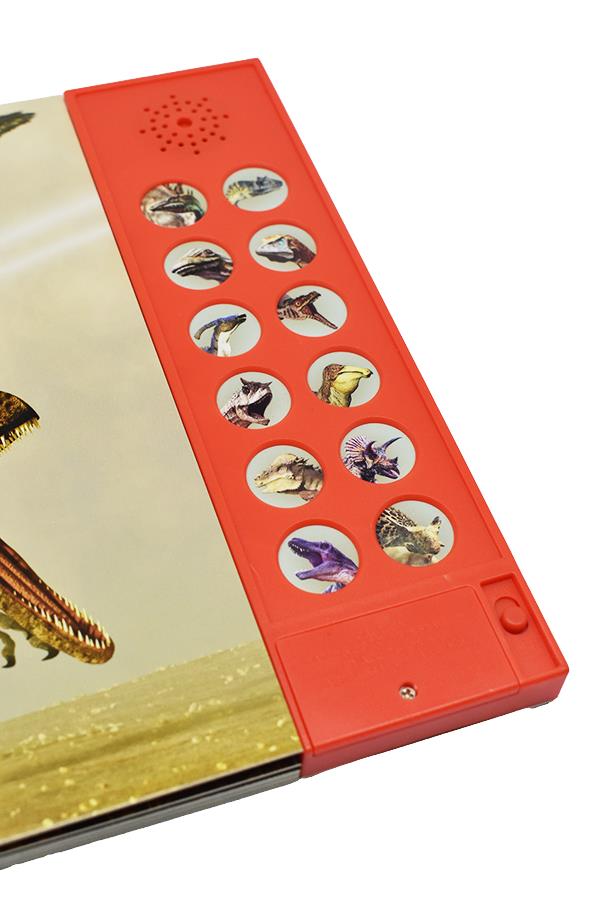The Little Book of Dinosa