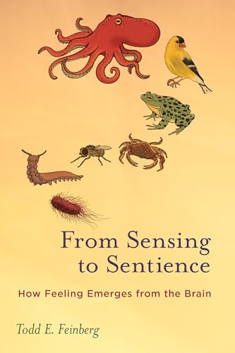 From Sensing to Sentience: How Feeling Emerges From the Brain
