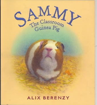 Sammy: The Classroom Guinea Pig