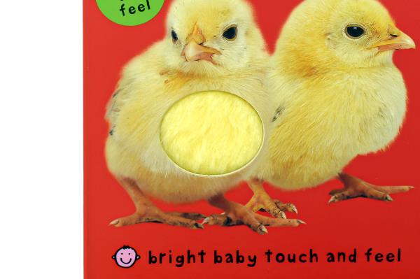 Touch And Feel (Bright Baby)