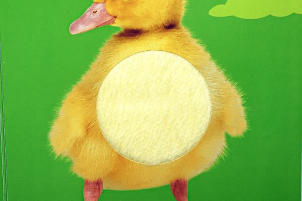 Easter Bunny (Baby Touch 