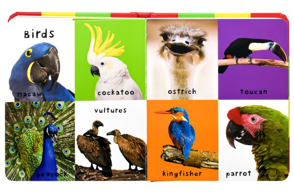 First 100 Boxed Set (First 100 Words/Number, Colors, Shapes/First 100 Animals)