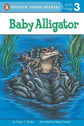 Bébé alligator (All Aboard Science Reader, Station Stop 2)