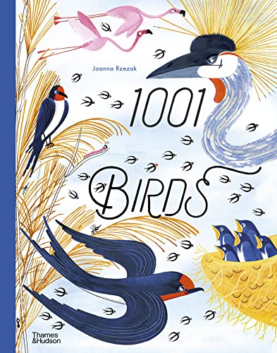 1001 Birds (1001 Series, Bk. 4)