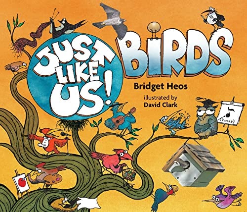 Just Like Us! Birds