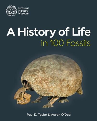 A History of Life in 100 Fossils