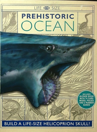 Prehistoric Ocean: Build a Life-Size Helicoprion Skull! (Life-Size)